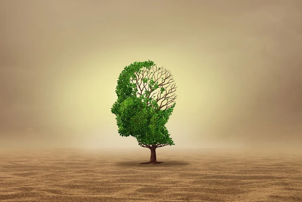 The Mental Health Frontier of the Climate Crisis: Addressing the Global Rise of Eco-Anxiety and the Urgent Need for Specialized Psychological Support