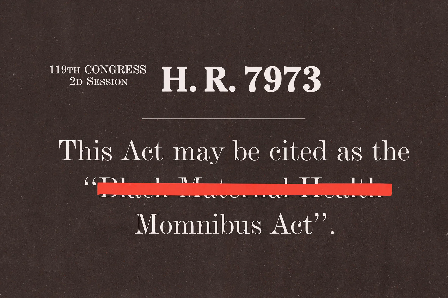 Erasing Black Identity from the Maternal Health Crisis The Stripping of Explicit Language in the Federal Momnibus Act
