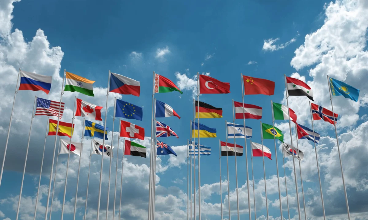 Navigating the New Era of Global Tax Transparency: Challenges and Misinterpretations of Emerging Disclosures