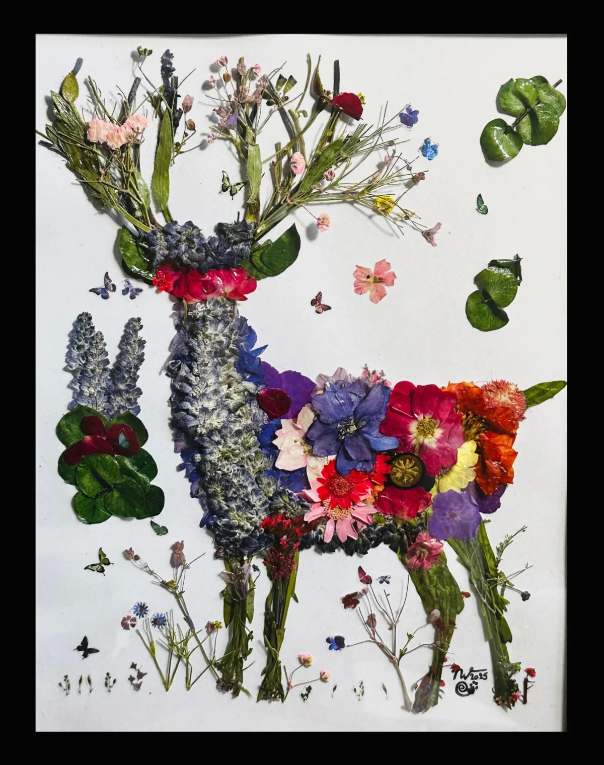 The Art of Preservation and Memory in nae vallejos Buck and the Intersection of Disability Justice and Botanical Storytelling