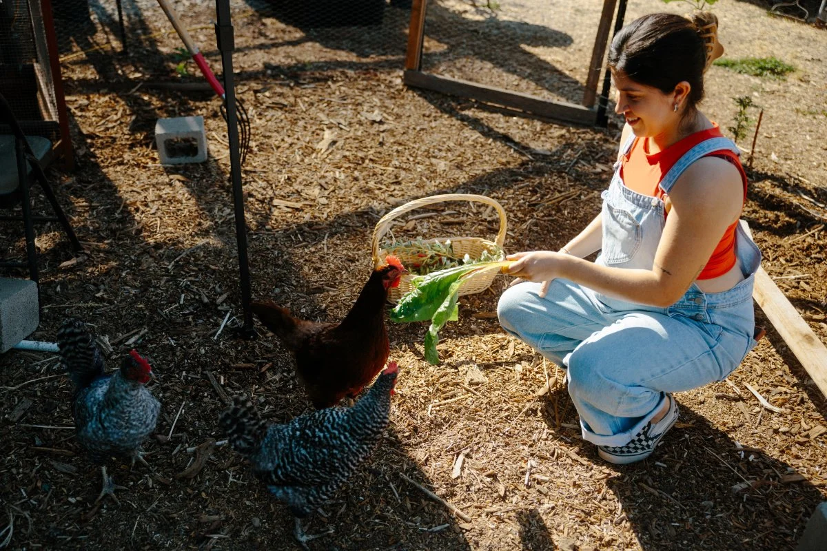 Cultivating Community Roots: Stephanie Gomez and the Mission to Transform Urban Agriculture in Los Angeles