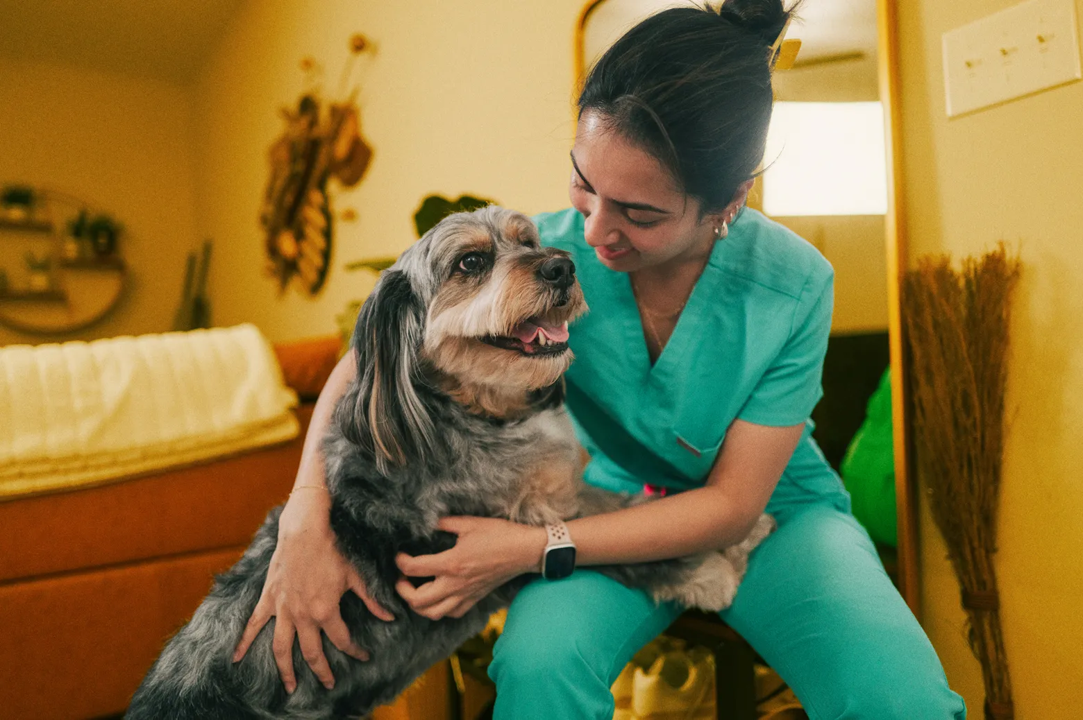 The Escalating Financial Burden of Pet Healthcare: A Deep Dive into Chronic Conditions and Their Impact on Pet Owners