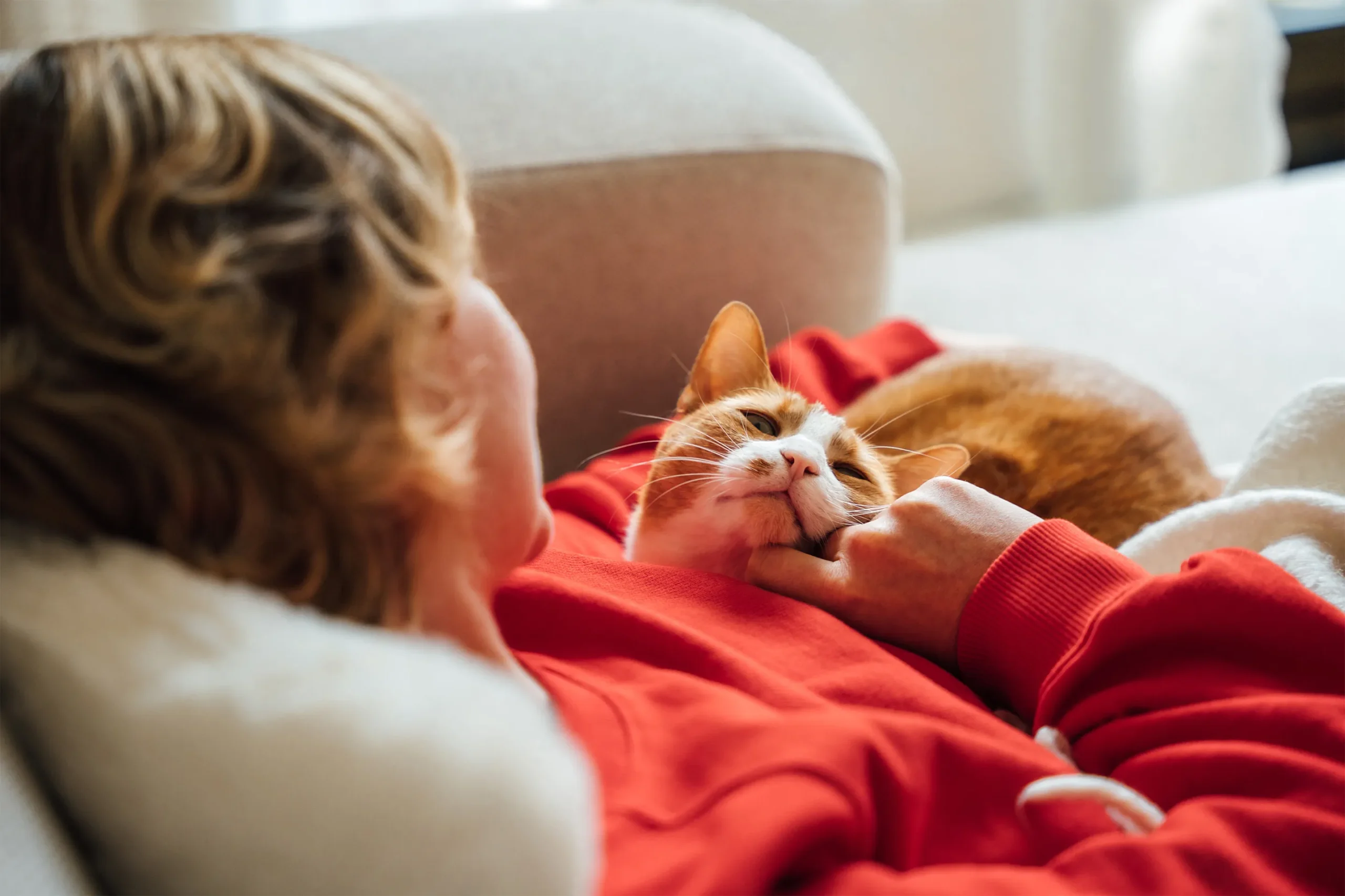 The Escalating Financial Realities of Pet Ownership: Navigating the Rising Costs of Companion Animals