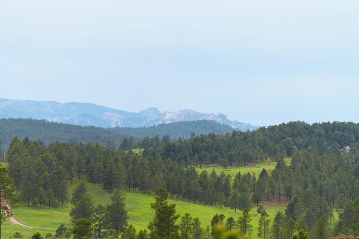 The Sacred He Sapa Restoration Act and the Fight for Indigenous Sovereignty in the Black Hills